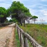Beachside Tranquility In Our Flat In Bibione