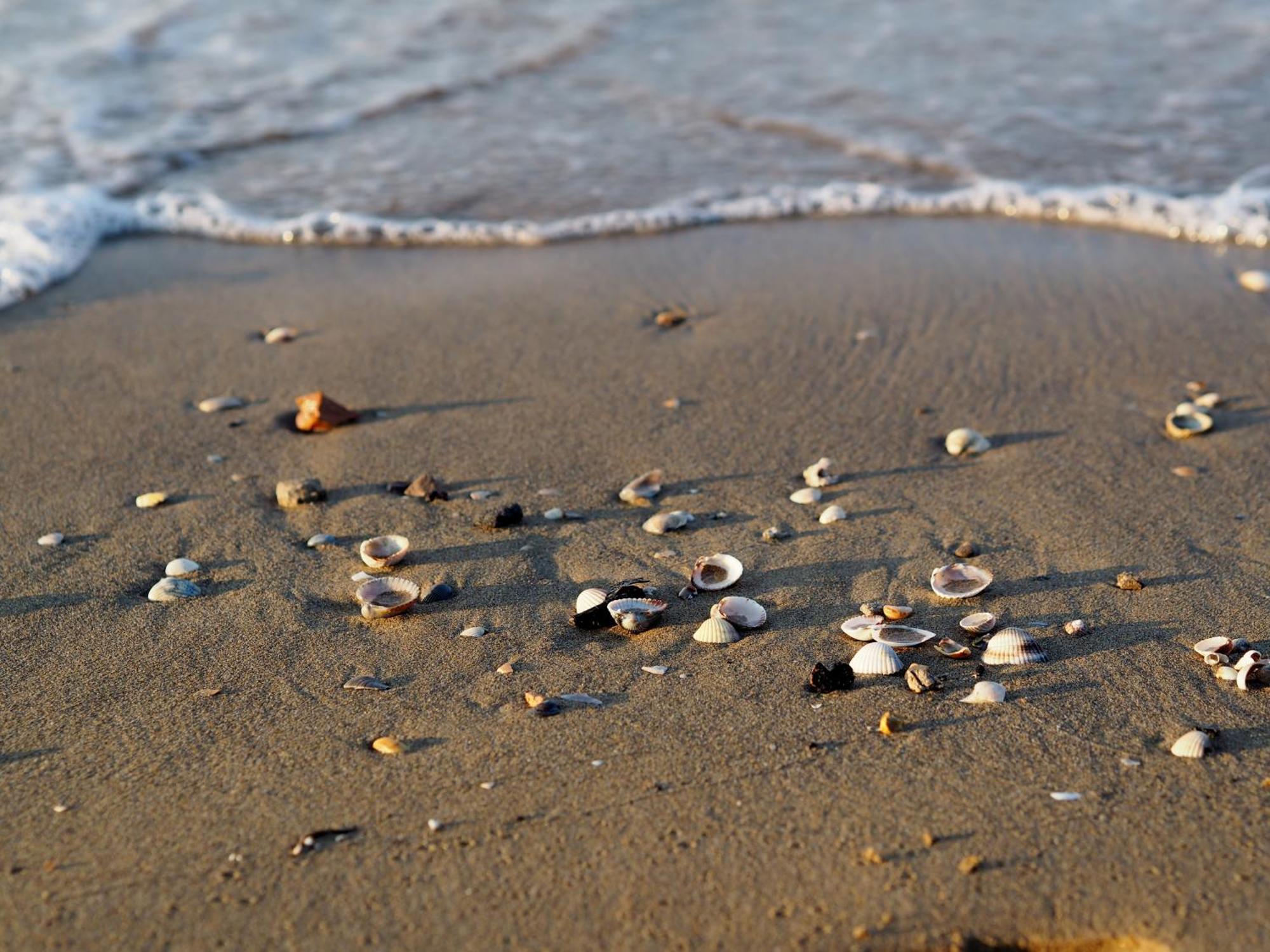 Beachside Tranquility In Our Flat In Bibione